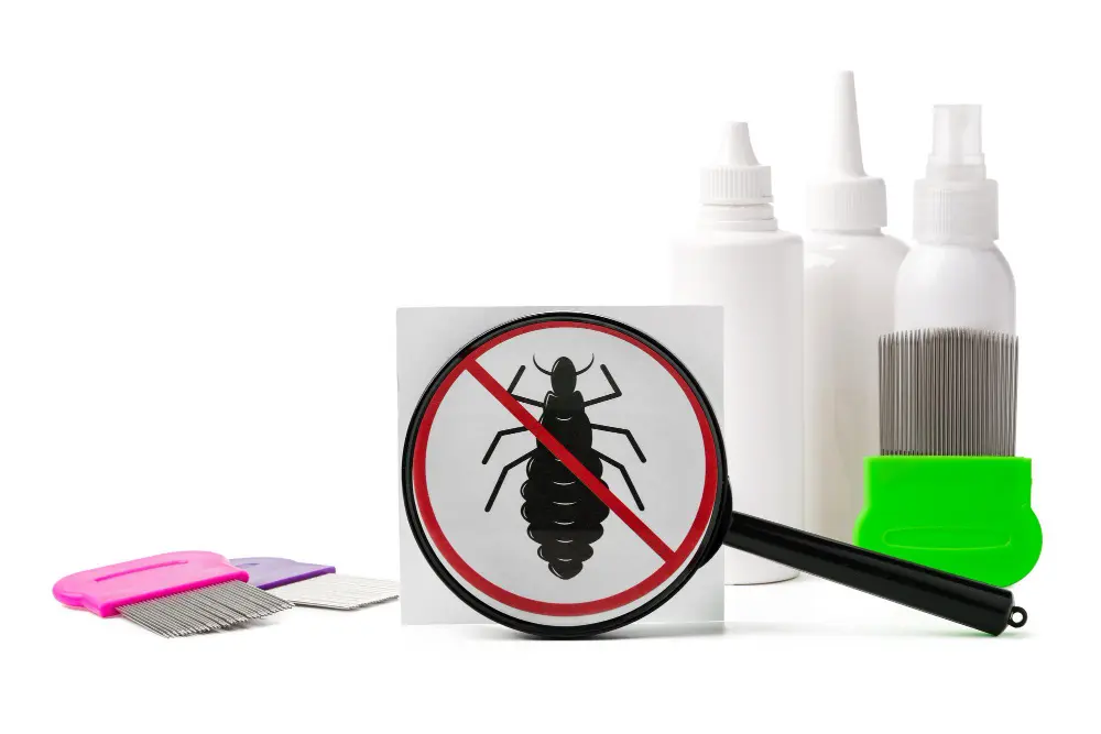 Common Pest Problems